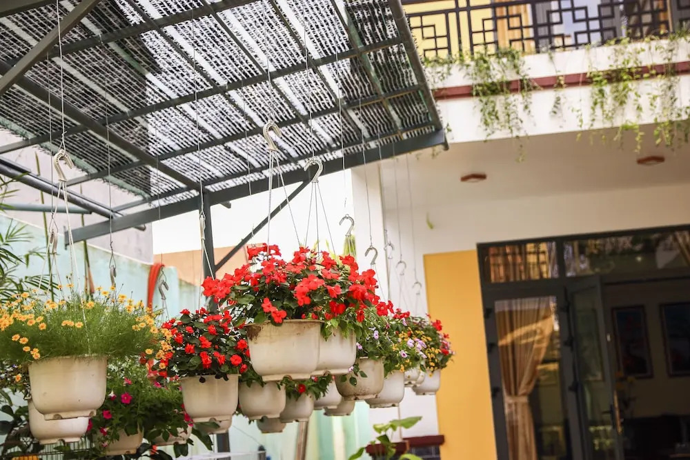 Hoi An New Life Homestay & Villa