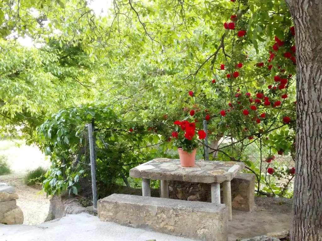 Cortijo Ramon Petra
