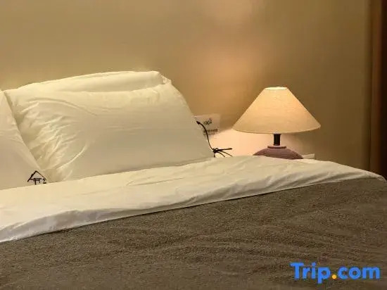 Jin Xi villa homestay