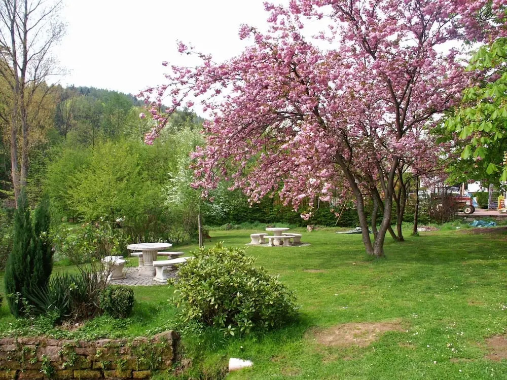 Hotel zum Engel