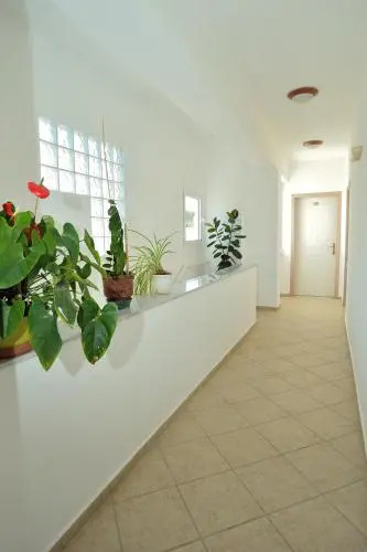 Kassiani Studios Olive Groove hotel
