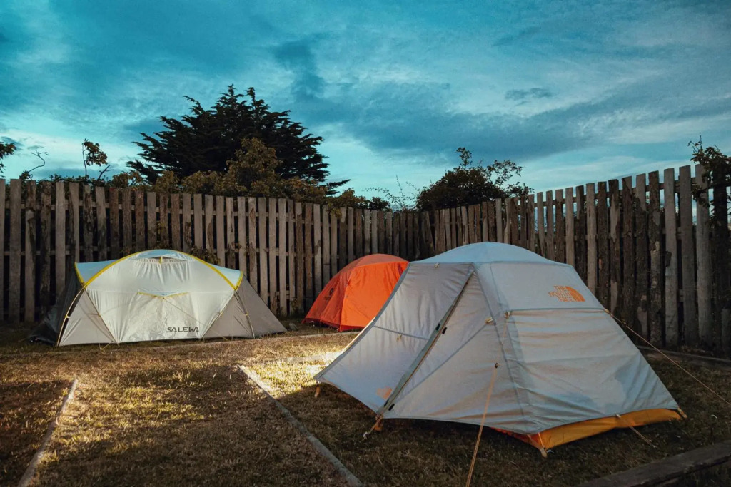 Camping Yellow Plum