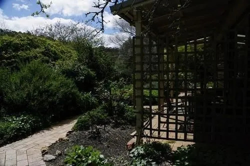 Quince Cottage