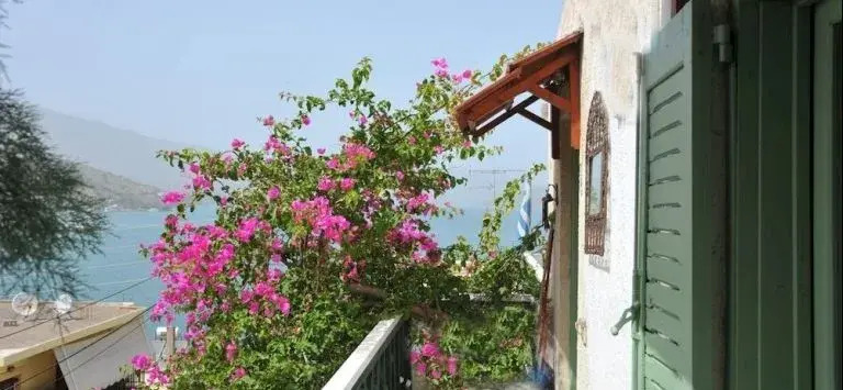 Elounda Apartments