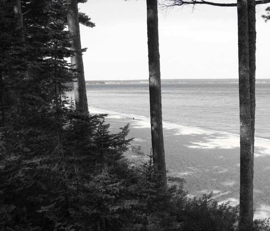 White Pine Lodge