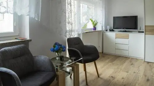 Apartament Ski Sudety