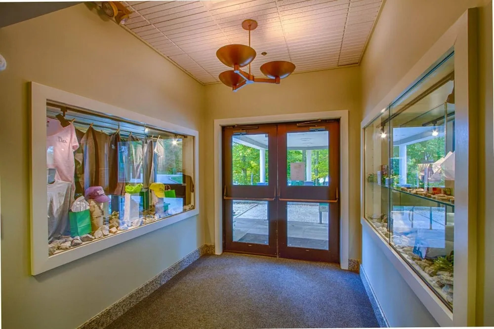 The Woods by Killington Vacation Rentals - 3 Bedrooms