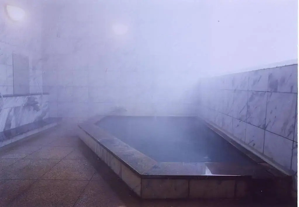 Natural Hot Spring Hakuba Symphony