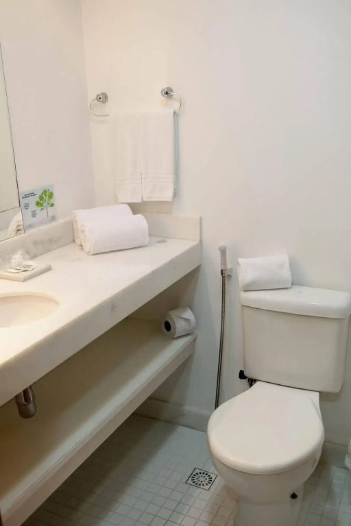Iguatemi Business & Flat