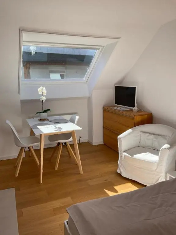 City Mini Apartment