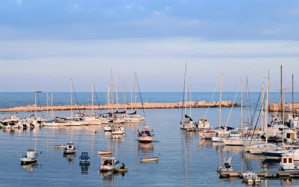 Harbor Houses II
