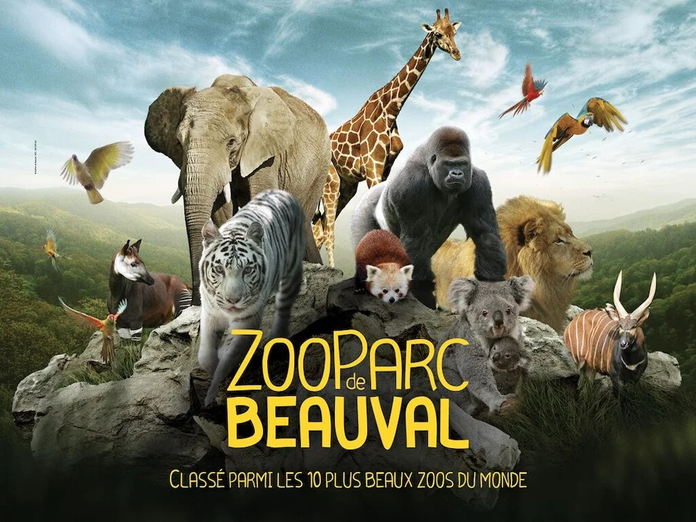 La Pause Val de Loire (20 mins - Zoo de Beauval)