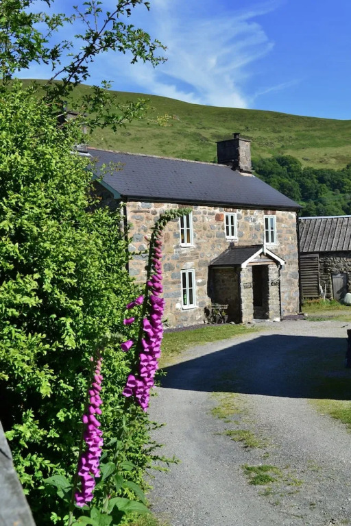 The Firecat Country House Guesthouse
