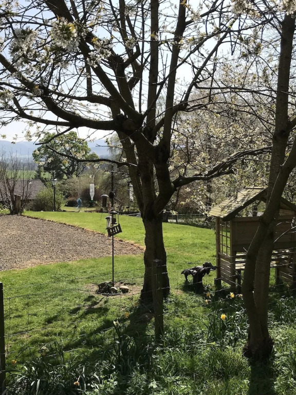 Winkston Courtyard Cottages