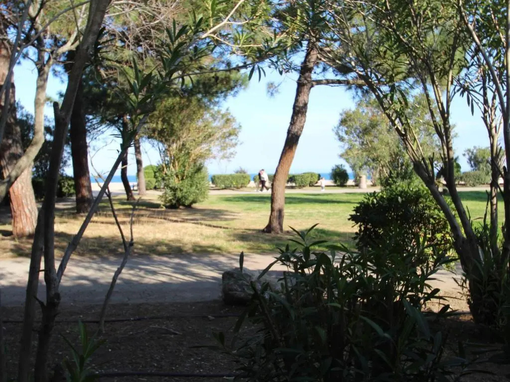 Appartement Argelès-sur-Mer, 2 pièces, 5 personnes - FR-1-309-254
