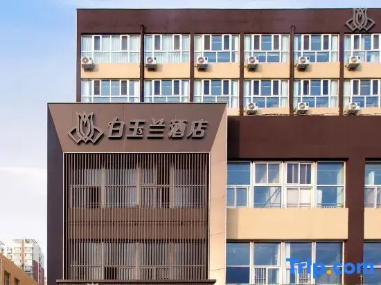 Magnolia Hotel (Cangzhou Station Yongji East Road)