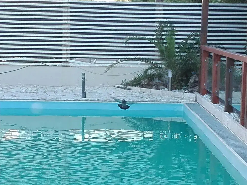 Biancopineta B&B
