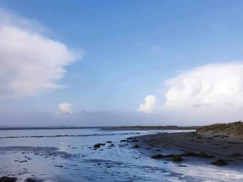 Homely Holiday Home in Jutland near Sea