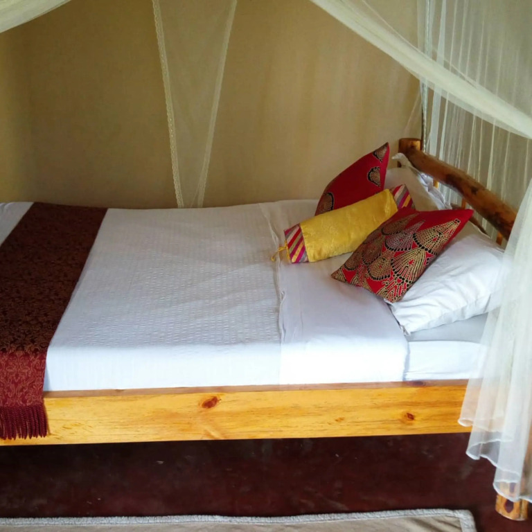 Songbird safari lodge