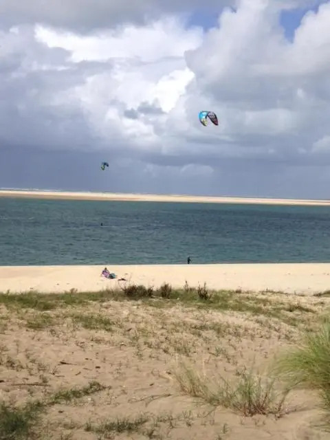 T2 dans quartier résidentiel sur le Bassin Arcachon avec location de vélos