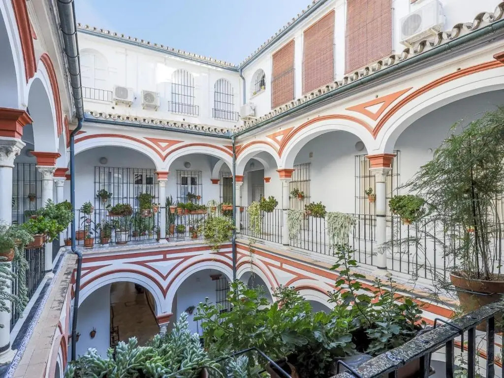 San isidoro 12 nuevo