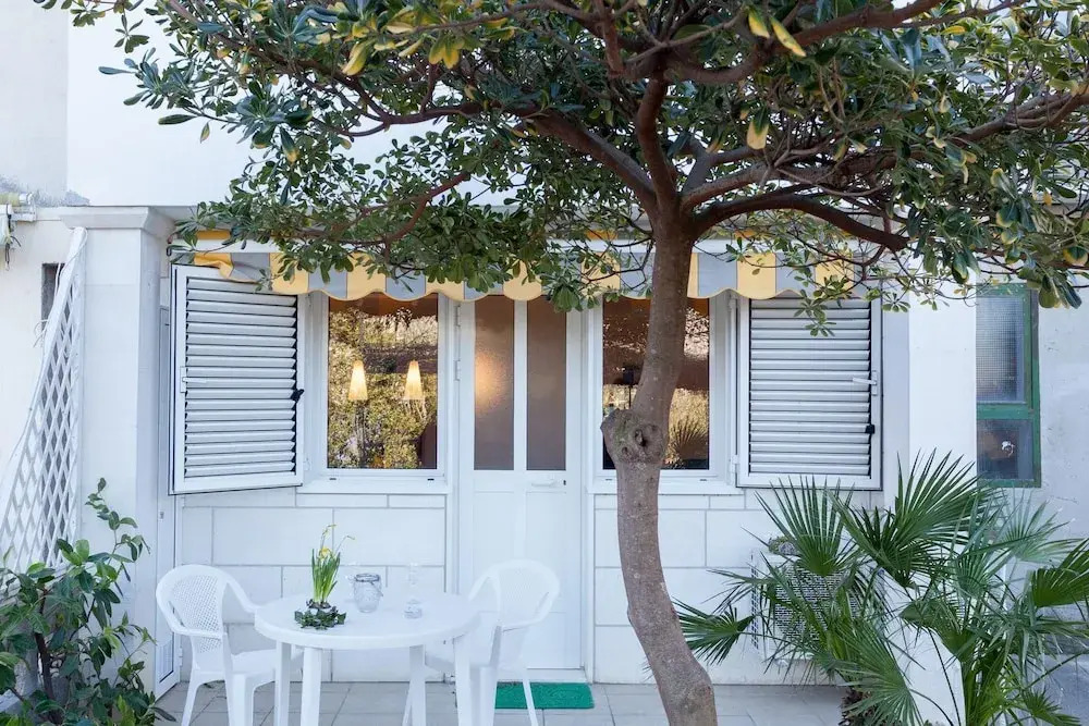 Hedera Estate, Hedera Studio 6