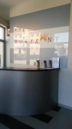 Horyzont 803