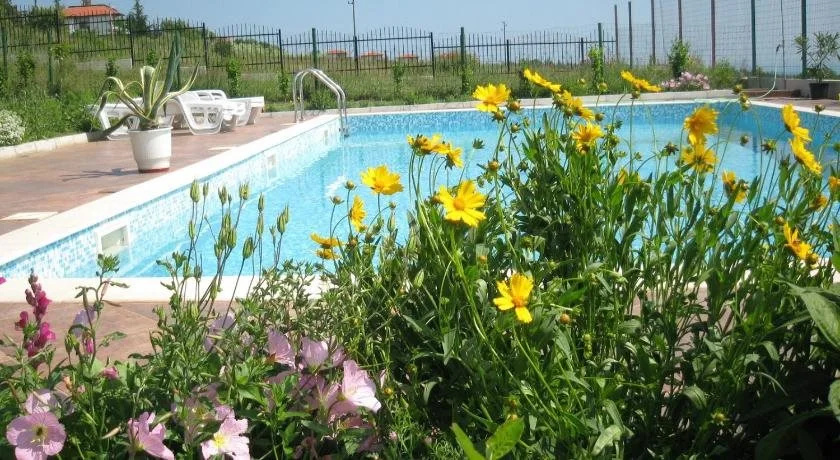 Belvedere Apartments