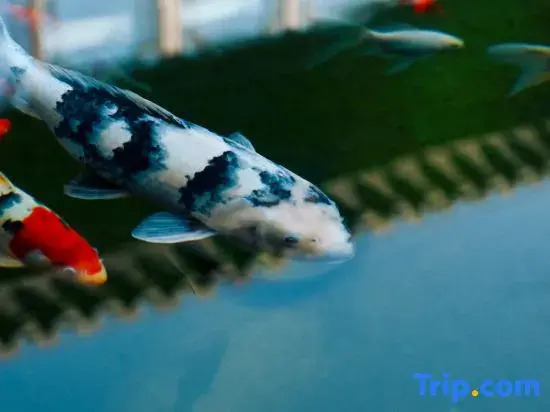 Huanghai Hotel（No.2 Bathing Beach Fisherman's Wharf Scenic Area Hotel）