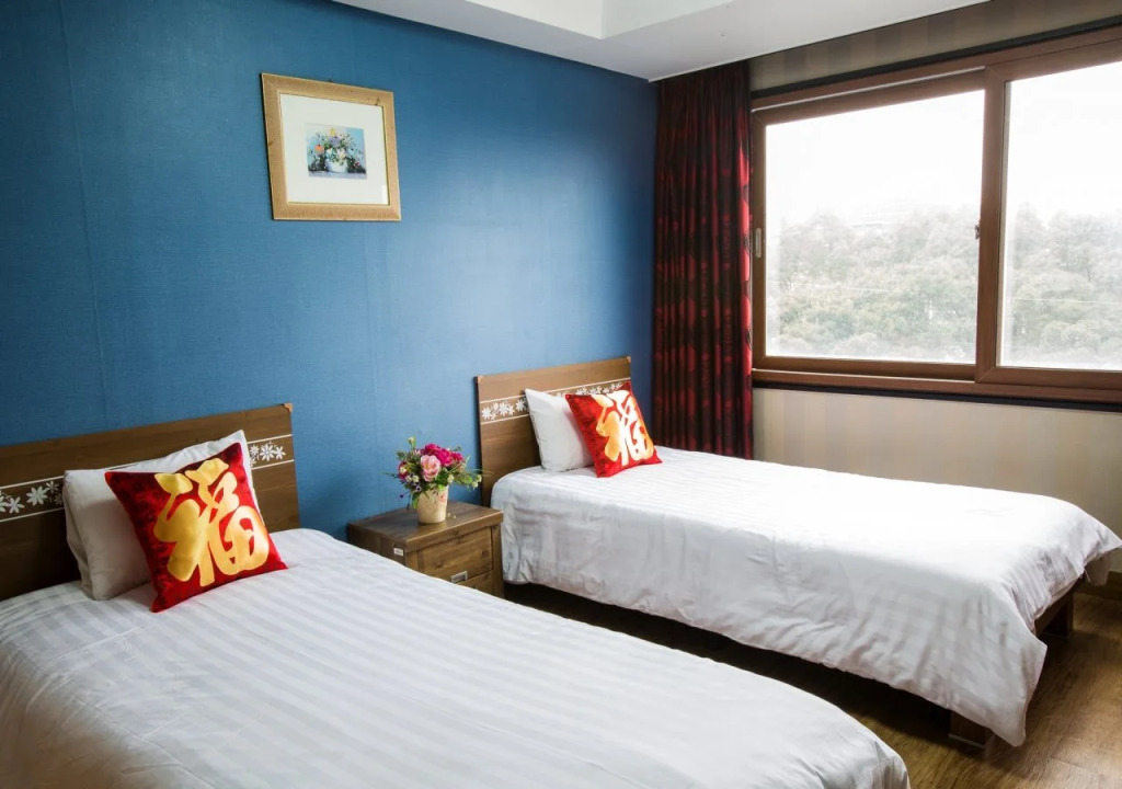 Alps Hotel