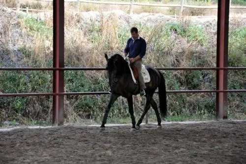 Coudelaria Vale Pau