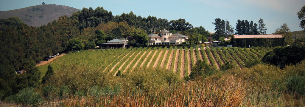 Clos Malverne Wine Estate