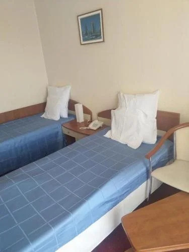 Hotel Doina