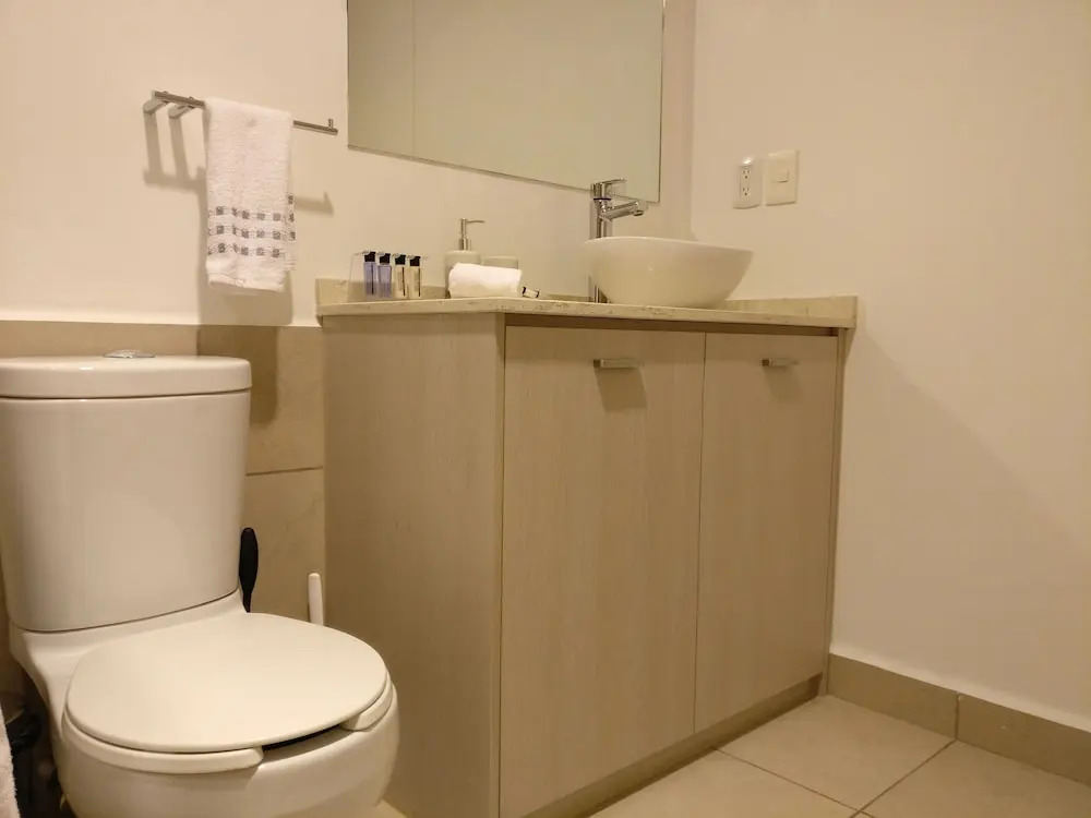 Boutique Apartment Carso Alameda 1102