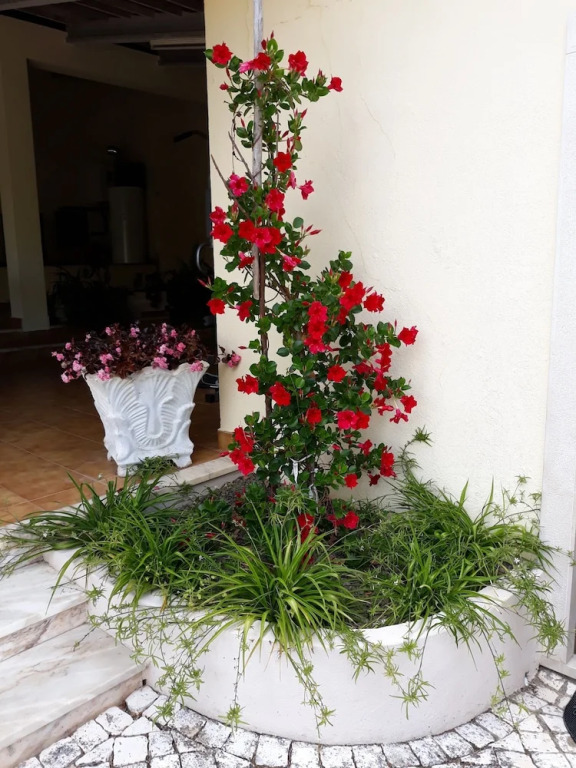 Quinta dos Templários