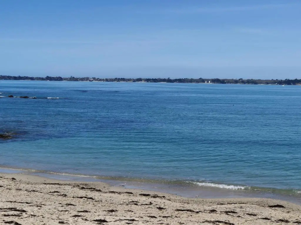 Le 21 Vue Sur Mer