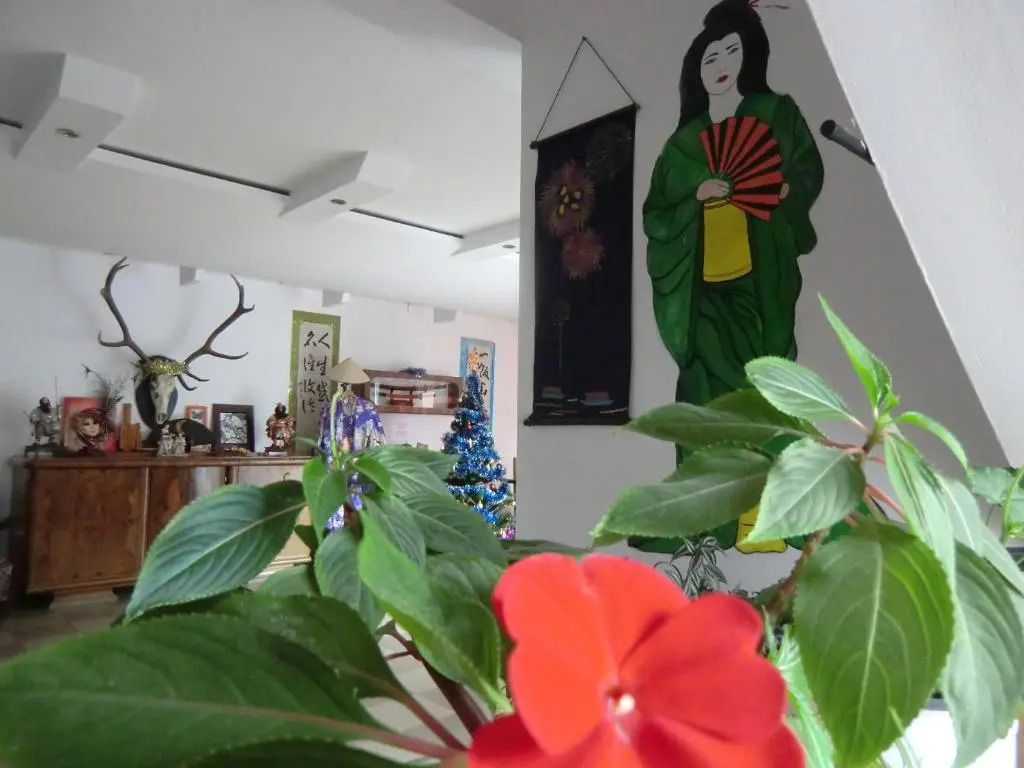 Pension Casa Samurai