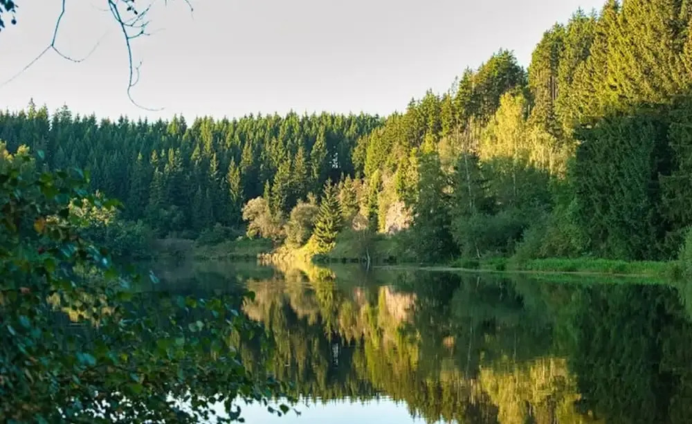 Your Holiday Home in the Harz Mountains