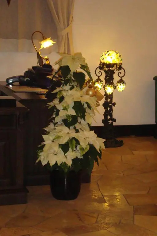 Hotel Montjola Nova