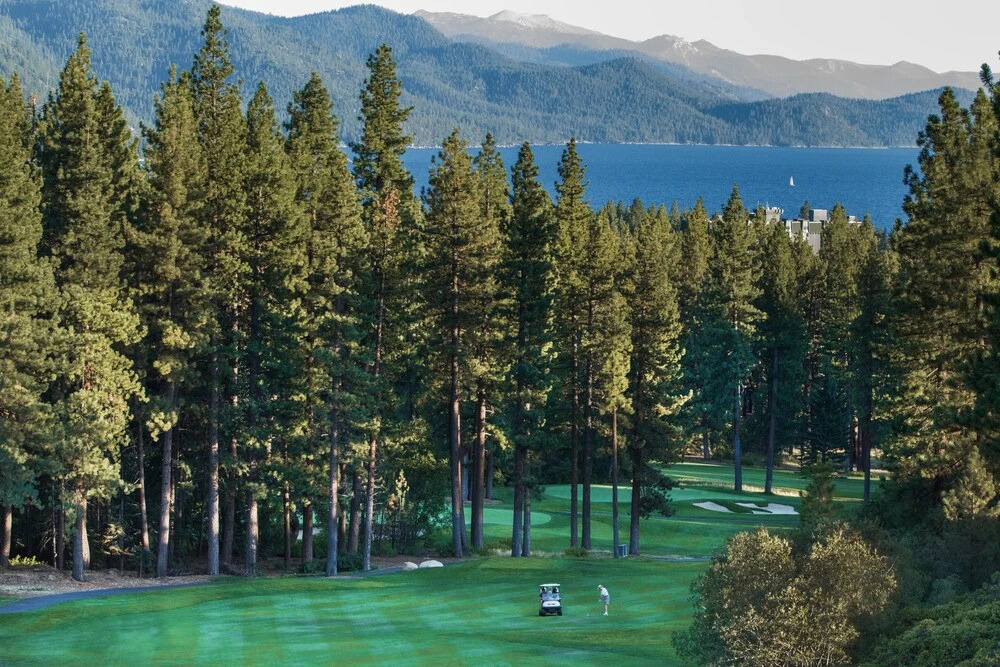Forest Vista - 2 Minutes To Diamond Peak 3 Bedroom Condo