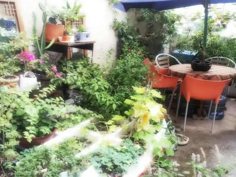 Lydia Craft Guesthouse