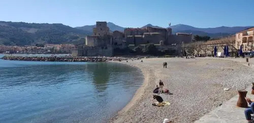 Studio Centre Plage