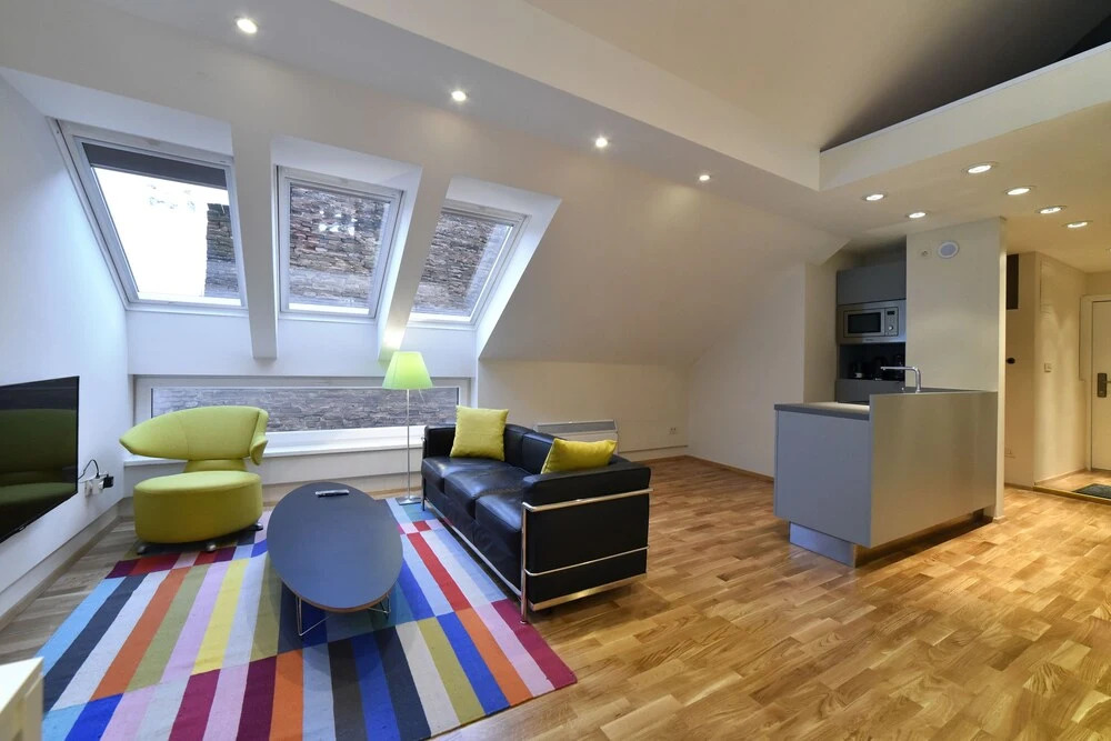 Apartment Skylight