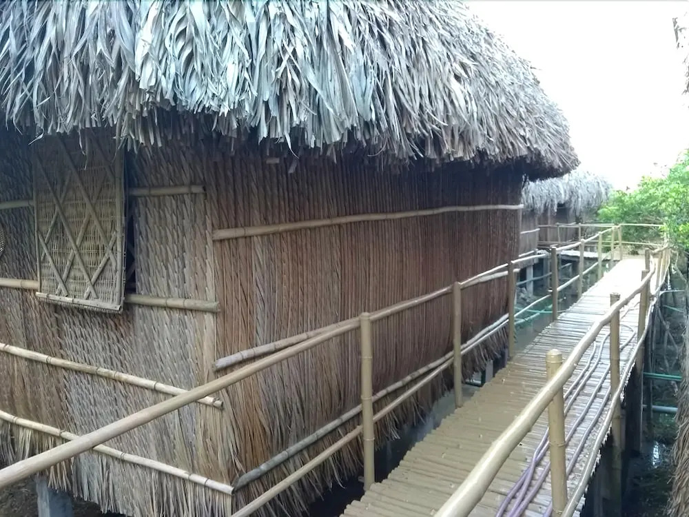 Dan Sinh Homestay