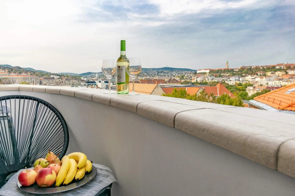 Panoramic Apt. near Chain Bridge