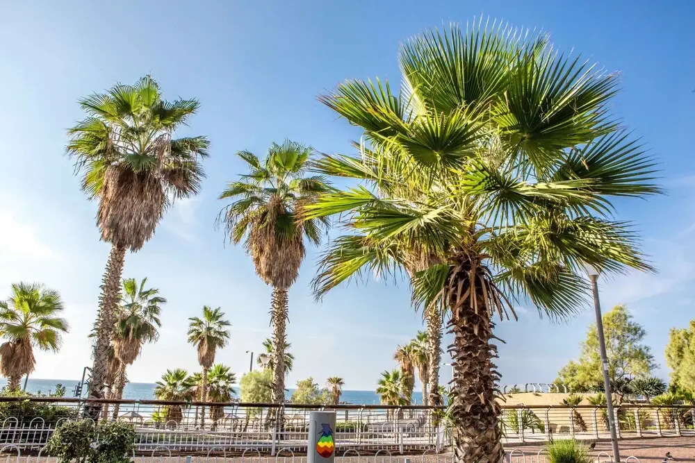 Premium suites on Beach Ben Yehuda 43