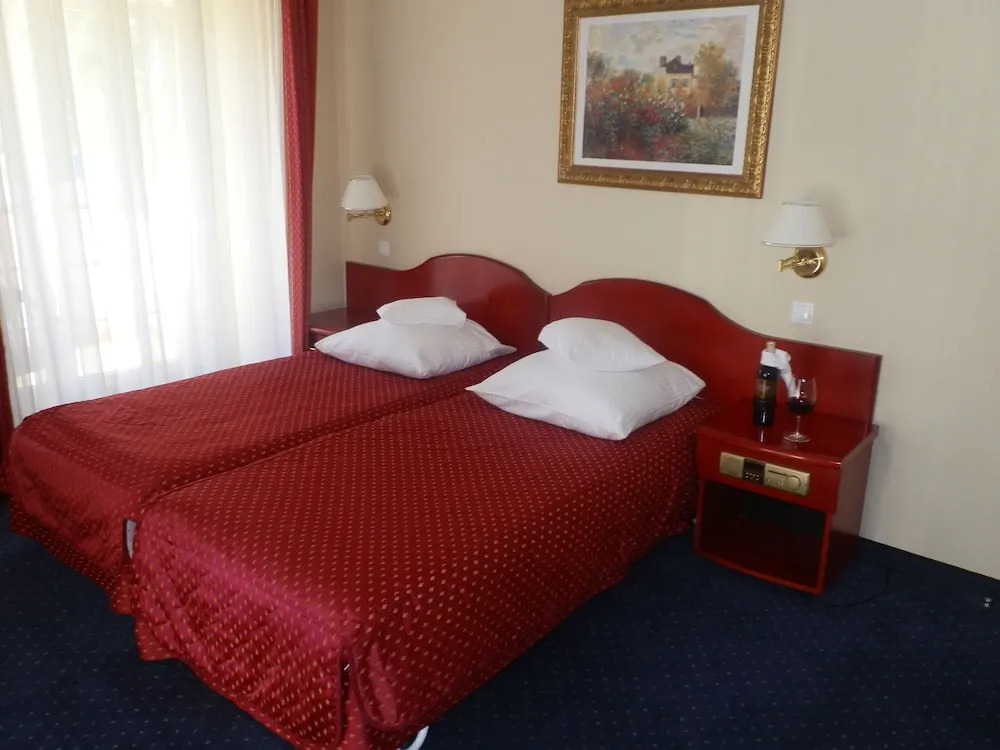 Willa Alexander Resort & SPA - caloroczny kryty BASEN