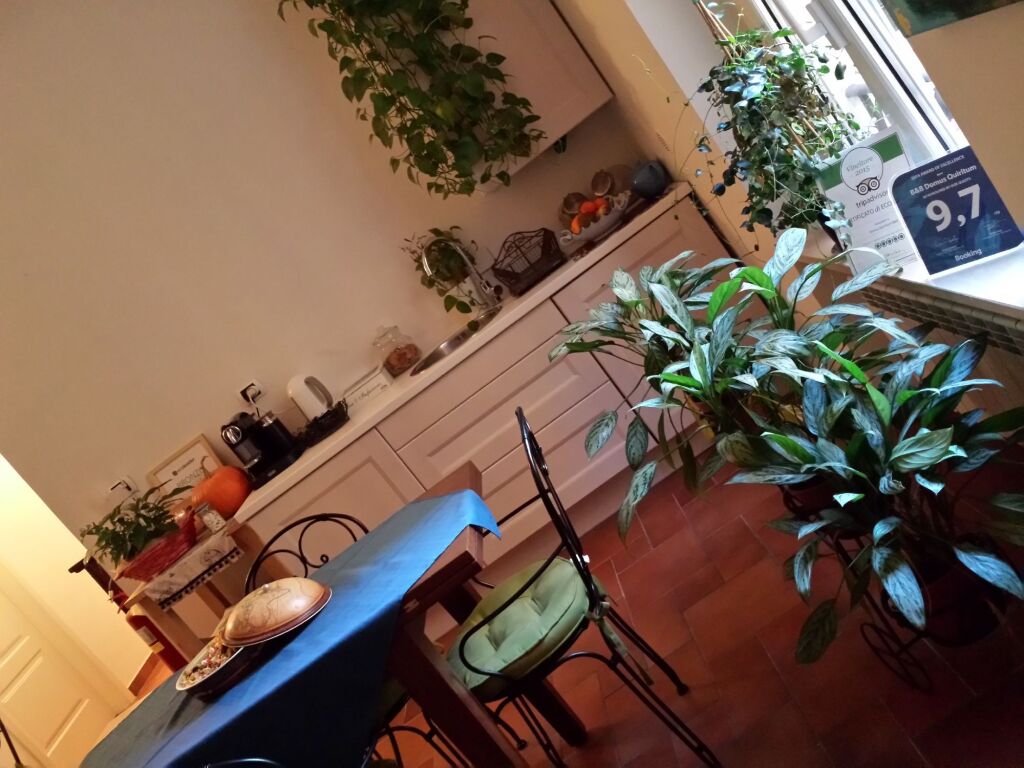 B&B Domus Quiritum
