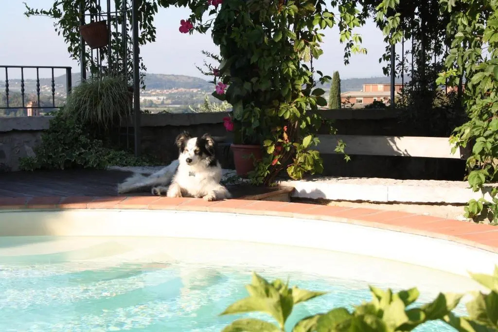 B&B POGGIO CAIAR