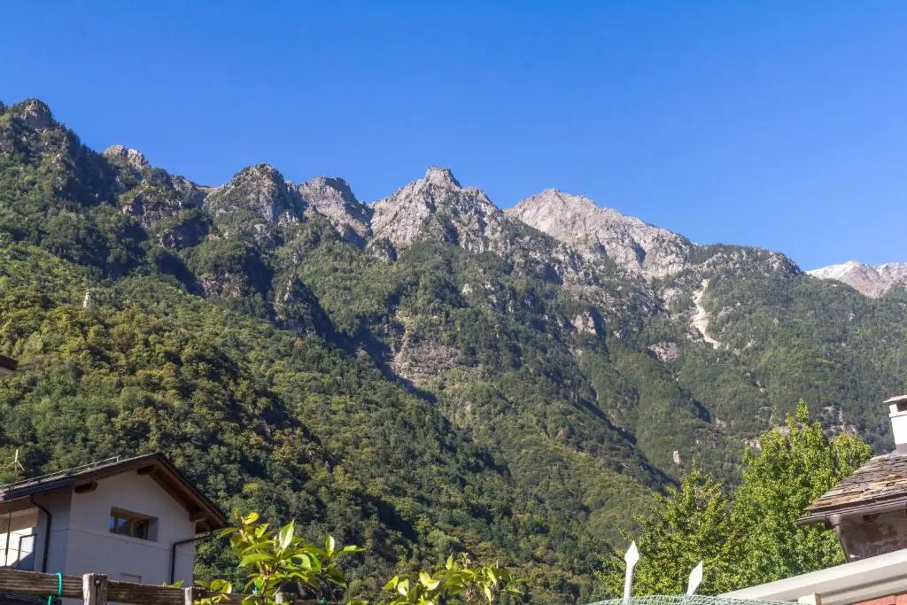 La Sciora Oliva